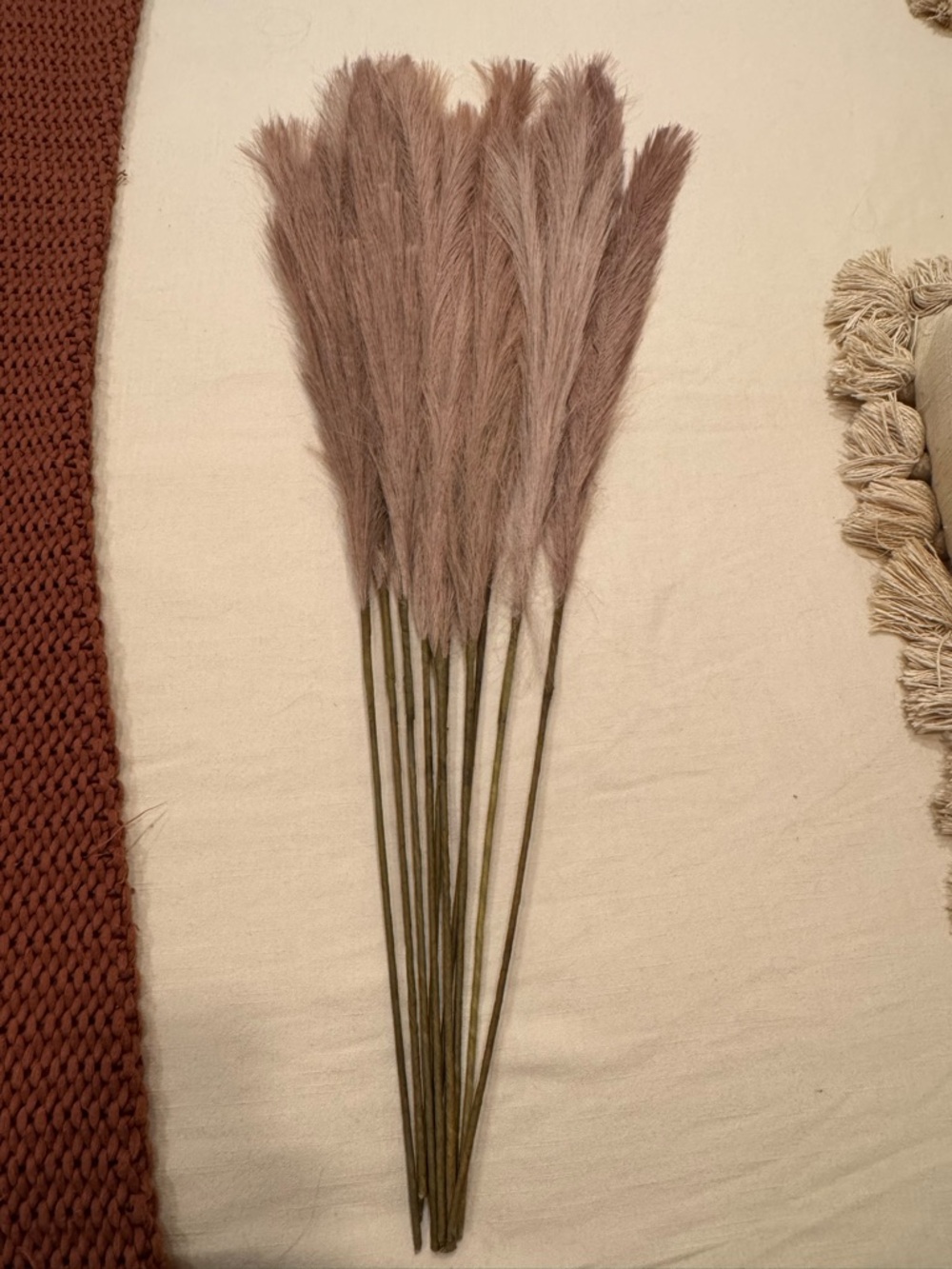 Cost Plus World Market Mauve Faux Pampas Grass Stems